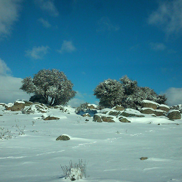 Entrenamientos en nieve